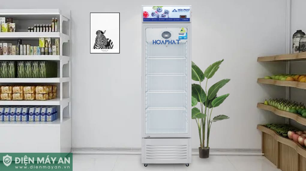 Tủ mát Hoà Phát 280 lít HSR D6280